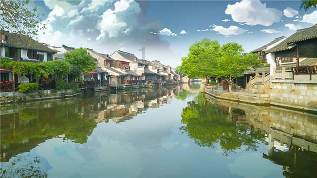 可爱小猫向上跳